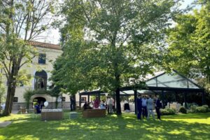 9e1dff7f-1142-4685-81dc-2e2623a1e893_2_12784-163407273454596